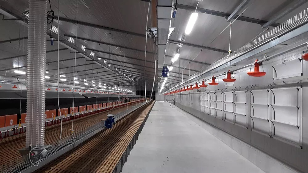 Система годування Flatline