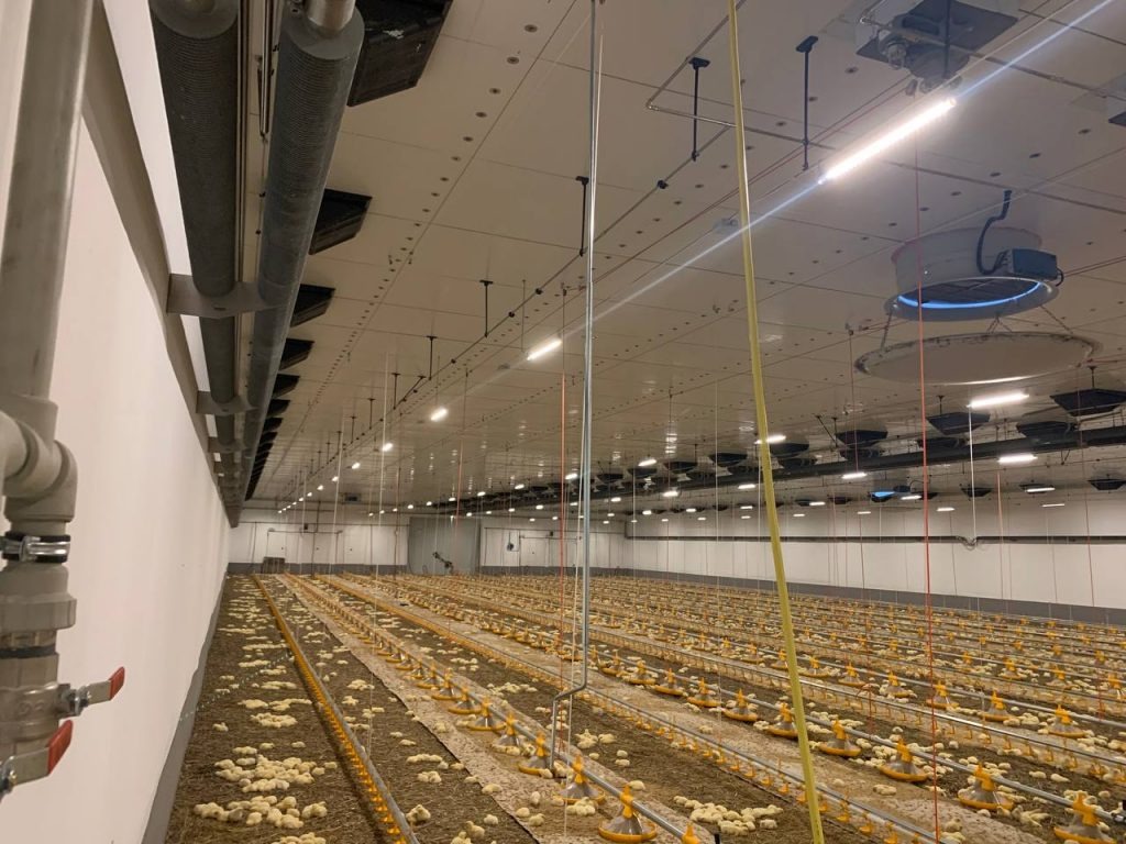 Птахофабрика