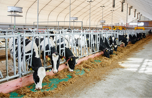 Обладнання для ВРХ